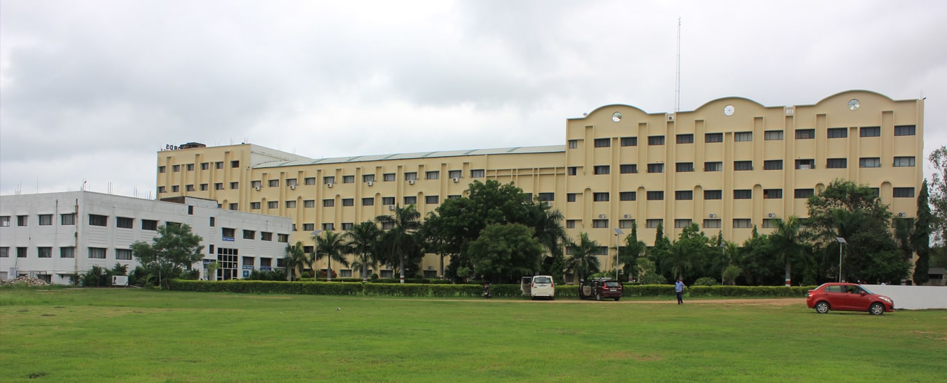 Sunrise International Academy
